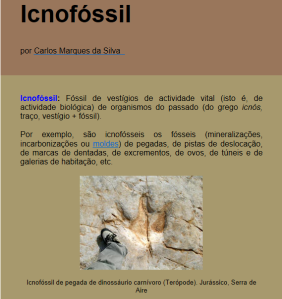 icnofóssil- Carlos Marques da Silva